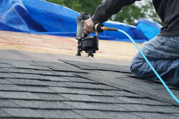 Best Residential Roof Replacement  in Hales Corners, WI